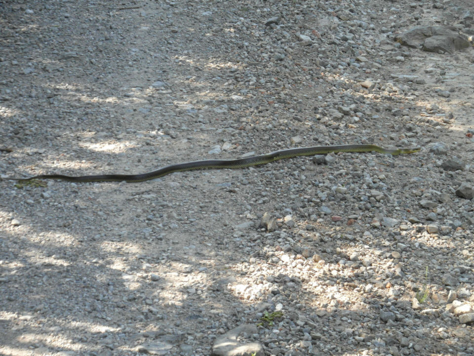 SUV Touren Kroatien Istrien Kvarner Bucht Bild - 13