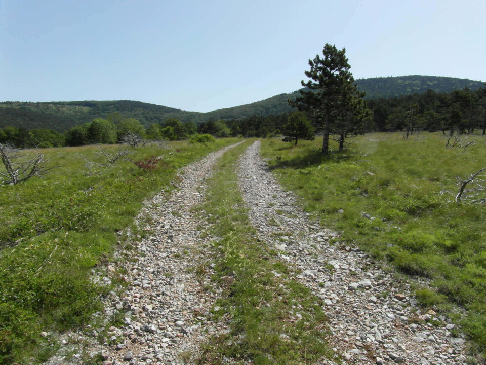 SUV Touren Kroatien Istrien Kvarner Bucht Bild - 16