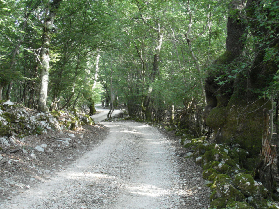 SUV Touren Kroatien Istrien Kvarner Bucht Bild - 29