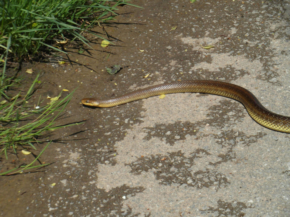 SUV Touren Kroatien Istrien Kvarner Bucht Bild - 6