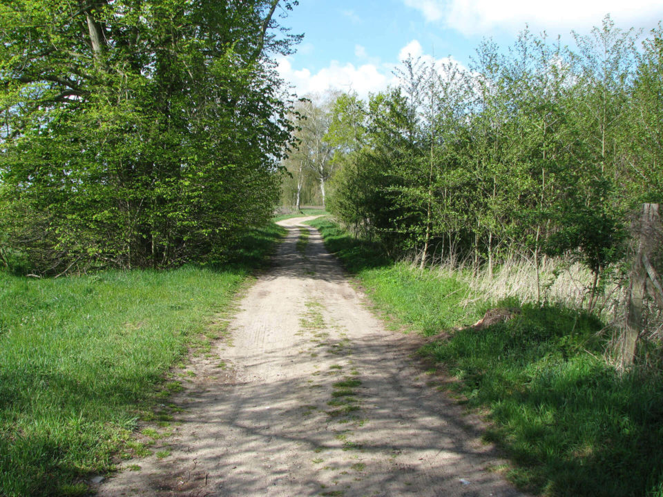 SUV Touren Schlössertour Mecklenburg Vorpommern Brandenburg Bild - 12