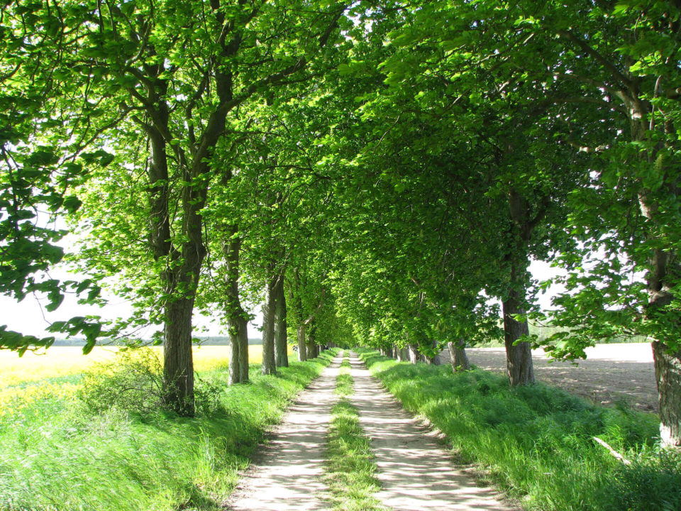 SUV Touren Schlössertour Mecklenburg Vorpommern Brandenburg Bild - 13