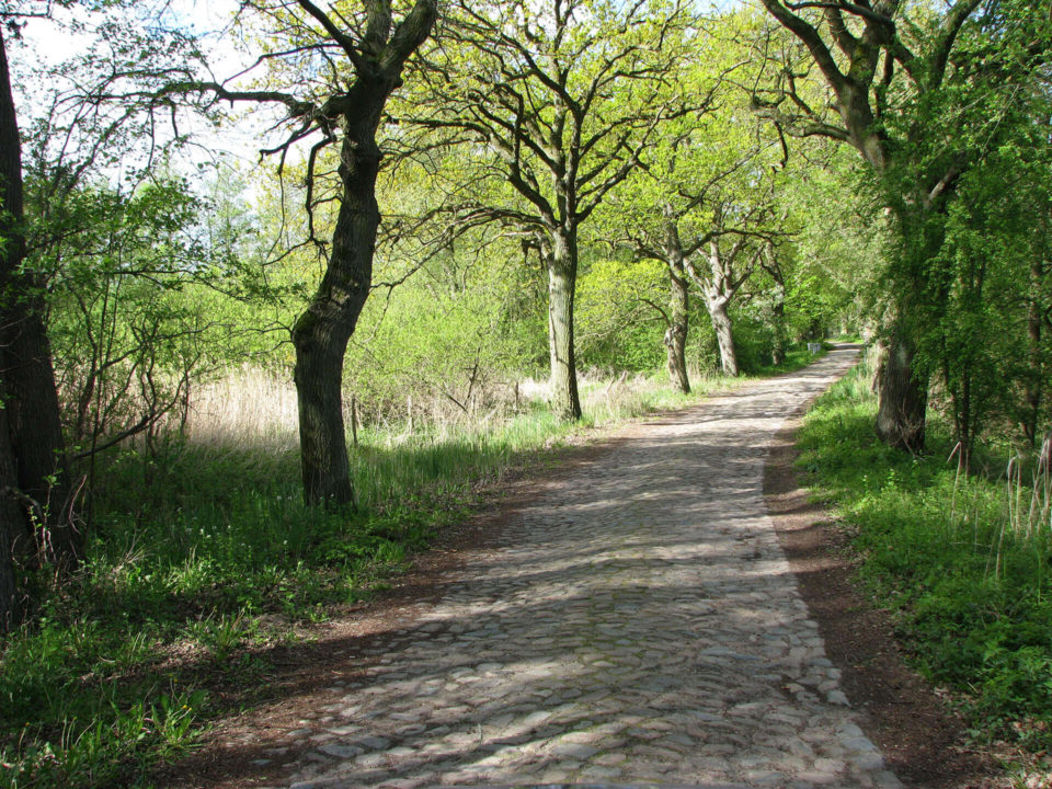 SUV Touren Schlössertour Mecklenburg Vorpommern Brandenburg Bild - 14
