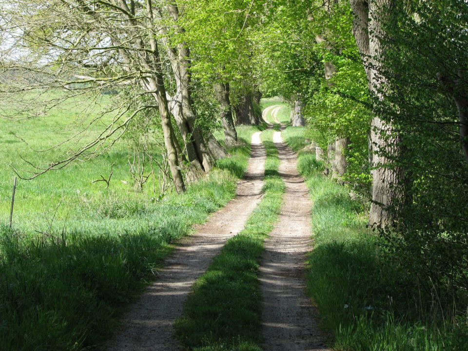SUV Touren Schlössertour Mecklenburg Vorpommern Brandenburg Bild - 15