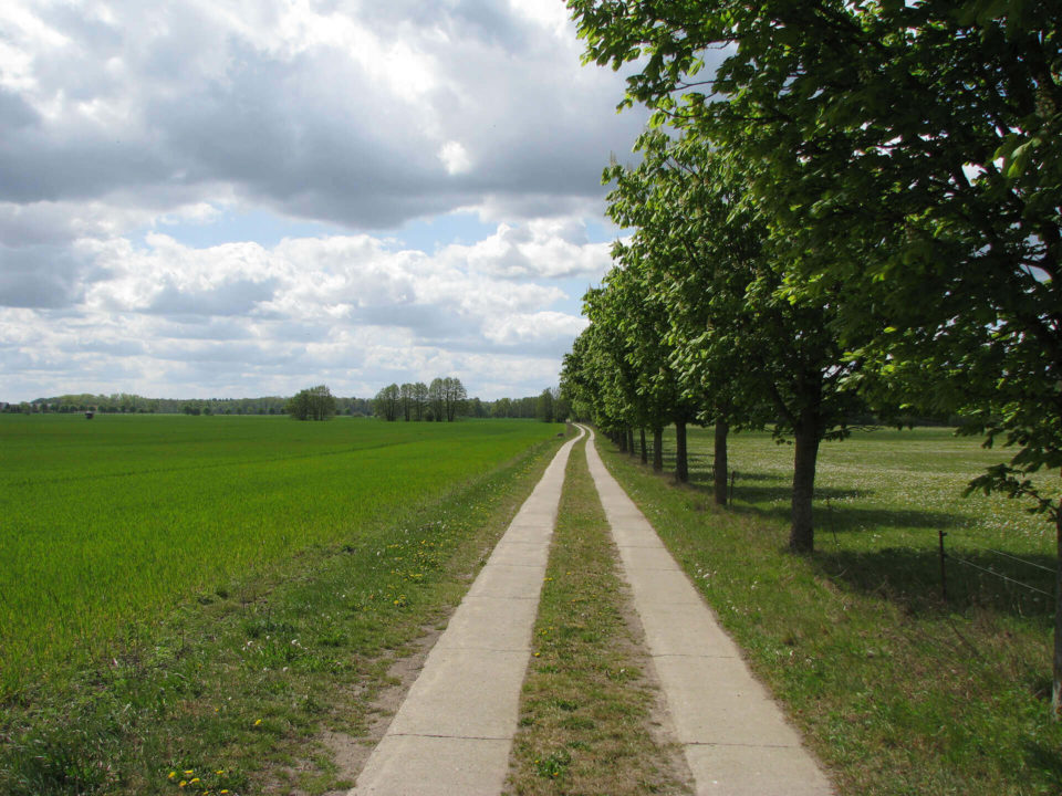 SUV Touren Schlössertour Mecklenburg Vorpommern Brandenburg Bild - 16