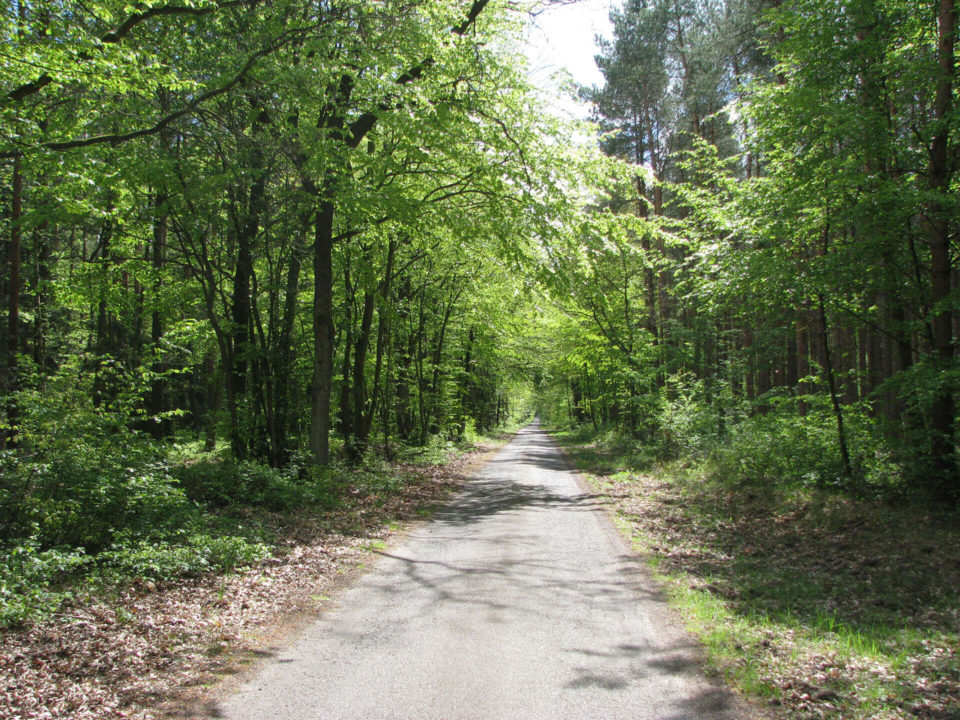 SUV Touren Schlössertour Mecklenburg Vorpommern Brandenburg Bild - 18