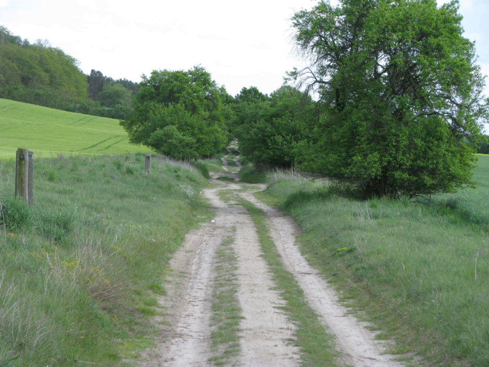 SUV Touren Schlössertour Mecklenburg Vorpommern Brandenburg Bild - 26