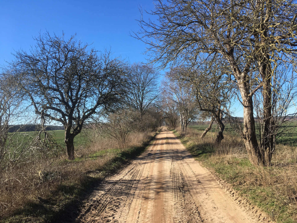 SUV Touren Schlössertour Mecklenburg Vorpommern Brandenburg Bild - 7