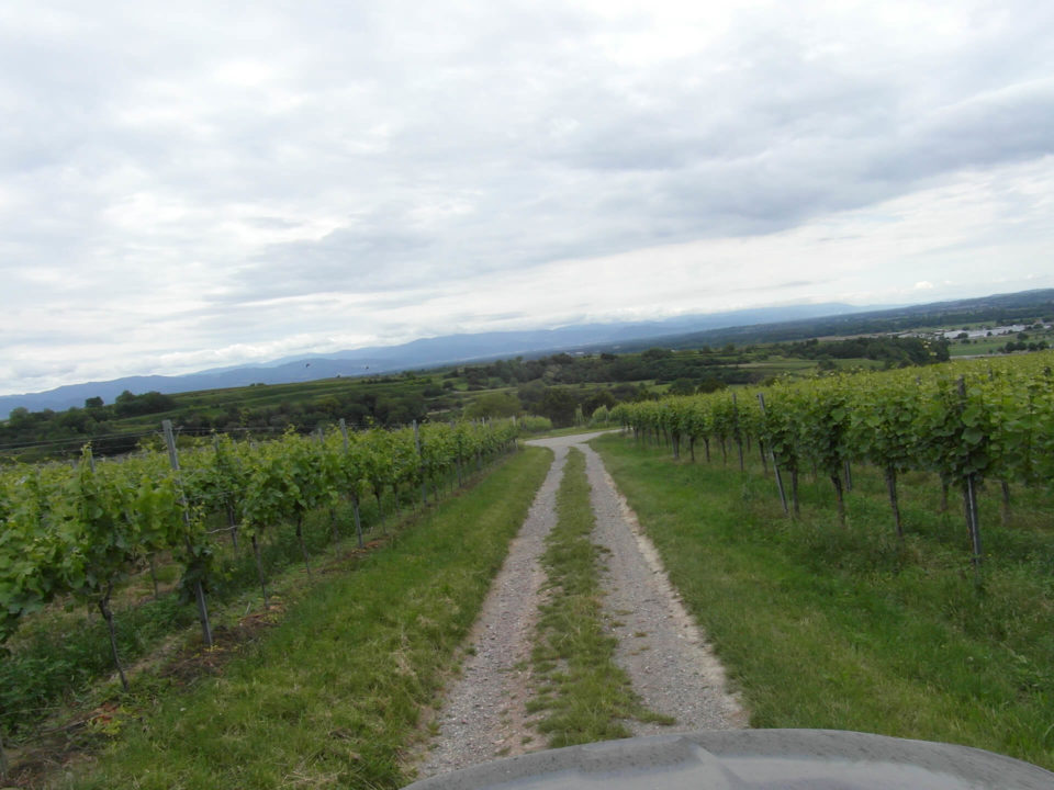 SUV Touren Schnuppertour Südvogesen Bild - 1