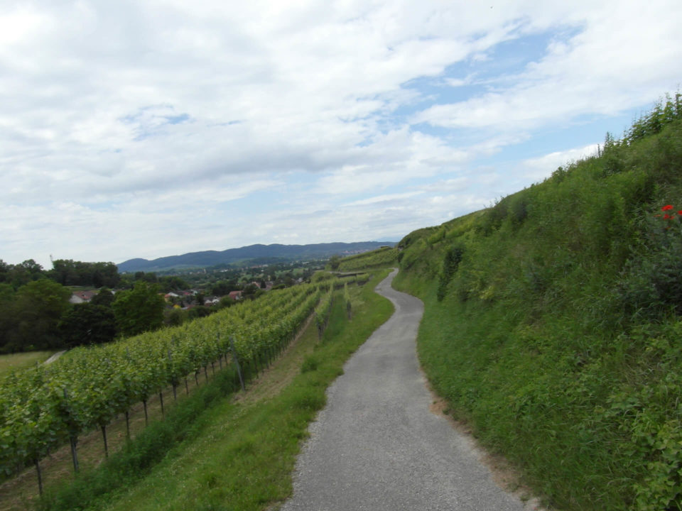 SUV Touren Schnuppertour Südvogesen Bild - 2