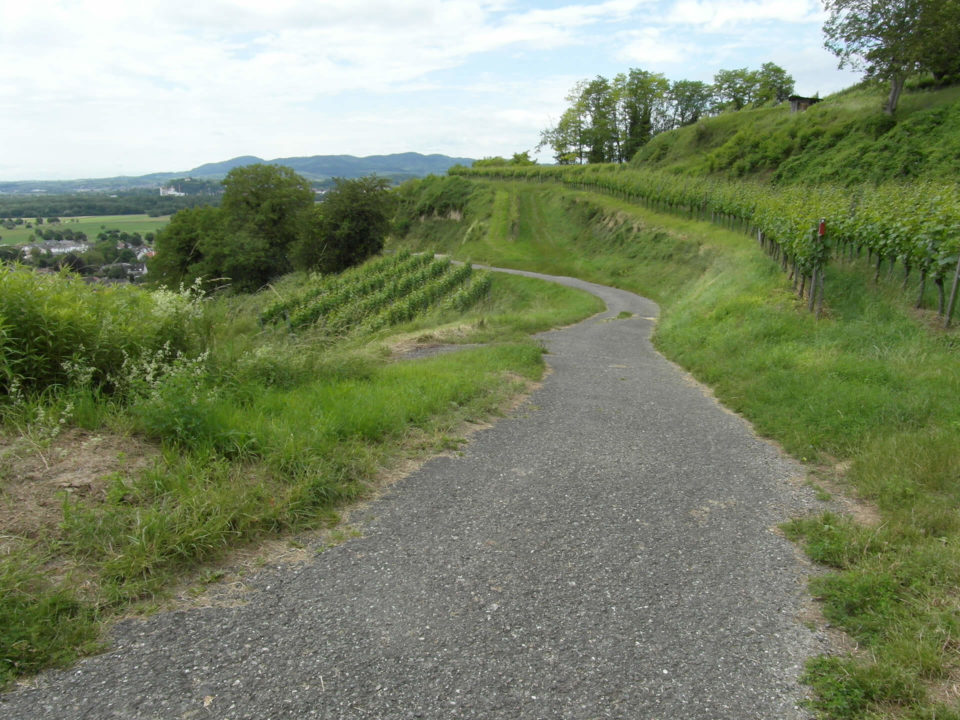 SUV Touren Schnuppertour Südvogesen Bild - 3