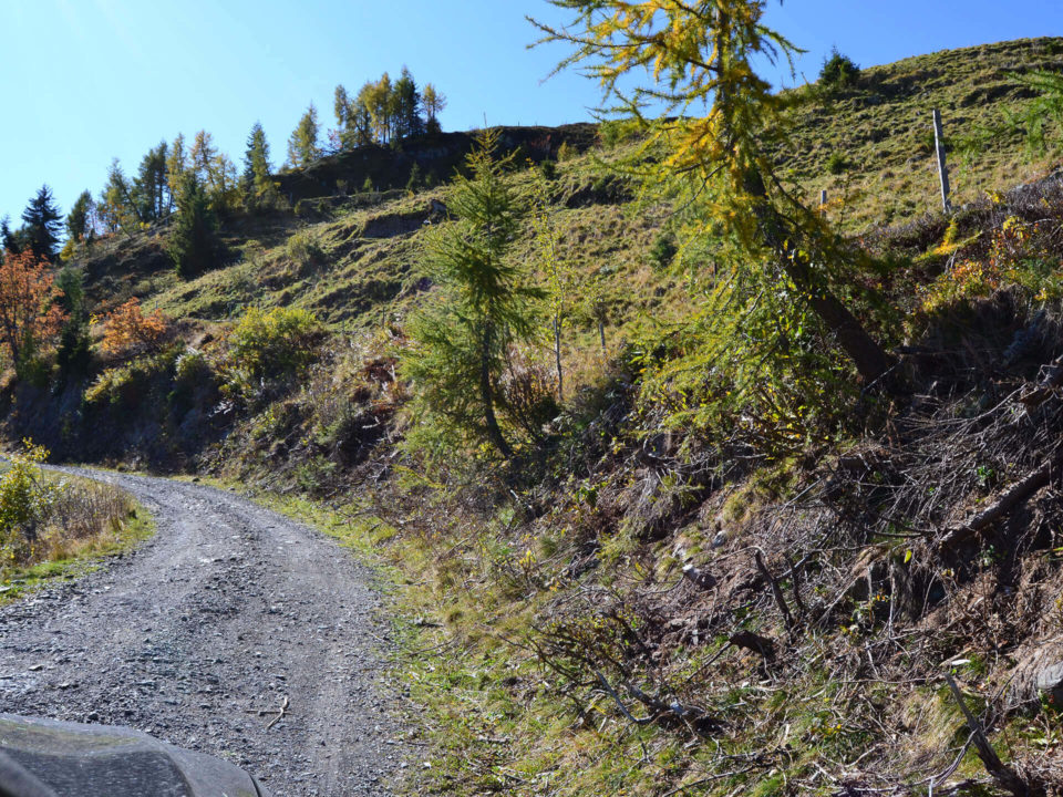 SUV Touren Österreich karnische Alpen Italien Bild - 10