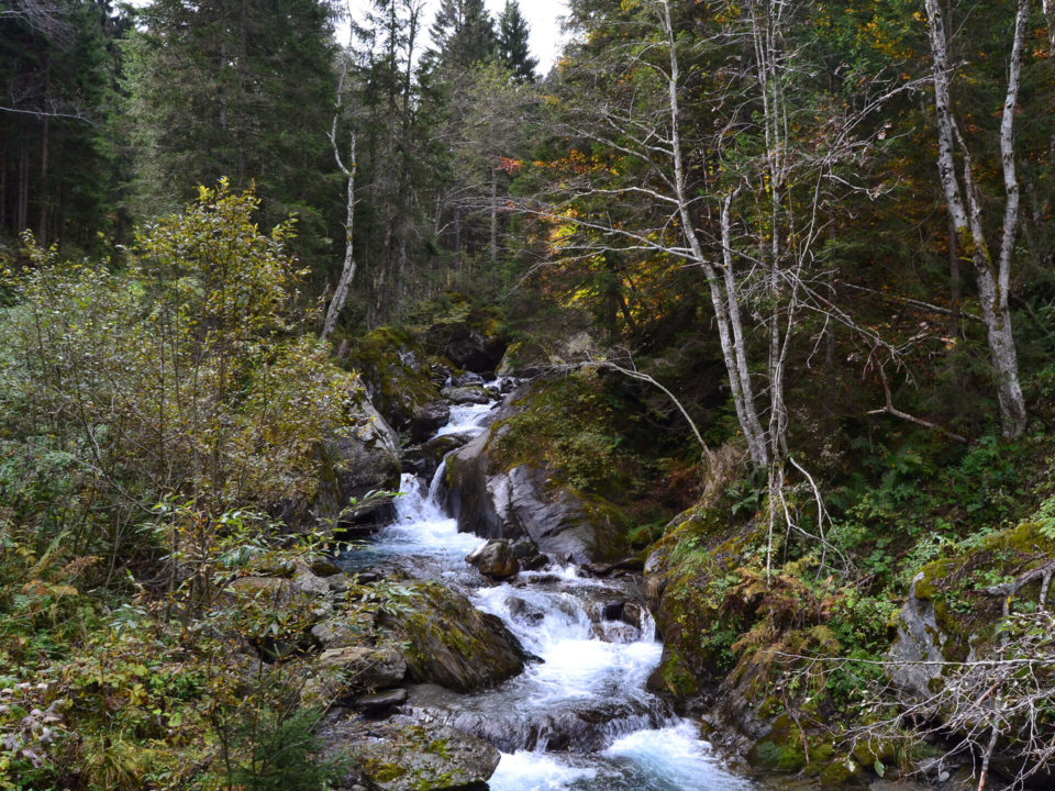SUV Touren Österreich karnische Alpen Italien Bild - 2