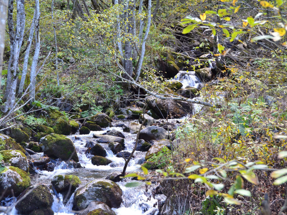 SUV Touren Österreich karnische Alpen Italien Bild - 21