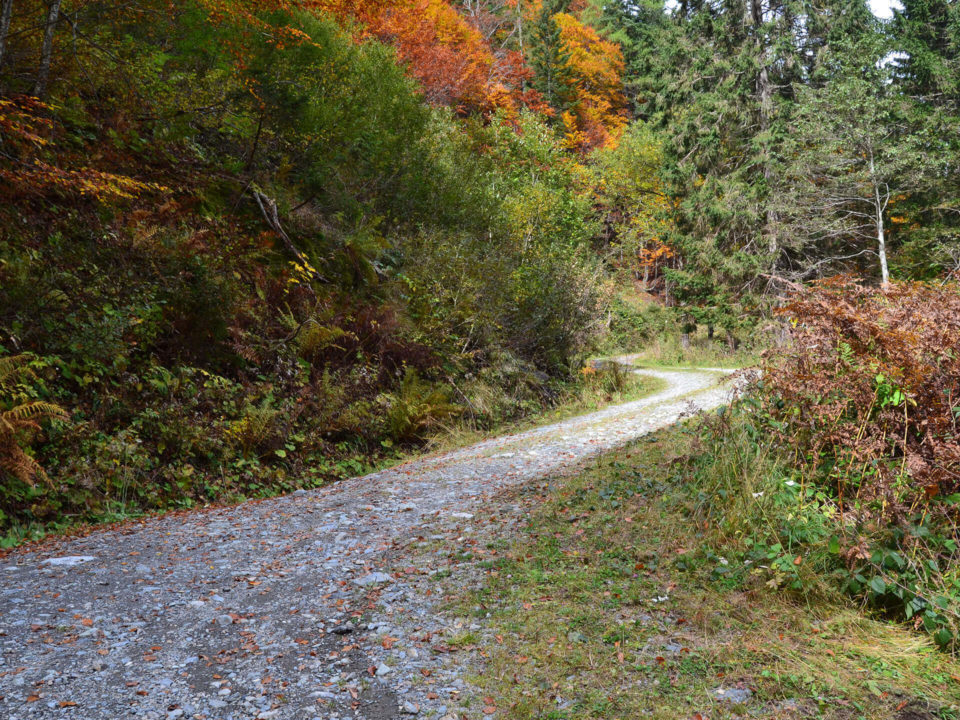 SUV Touren Österreich karnische Alpen Italien Bild - 3