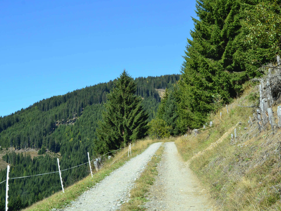 SUV Touren Österreich karnische Alpen Italien Bild - 4