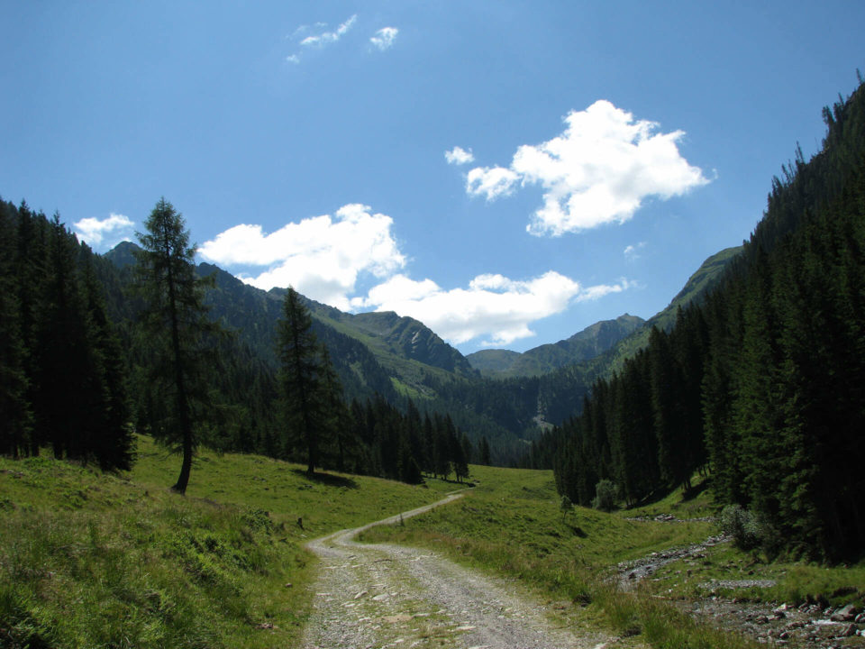 SUV Touren Österreich karnische Alpen Italien Bild - 41