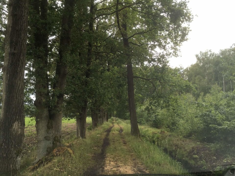 Schnuppertour Niederlande (5)