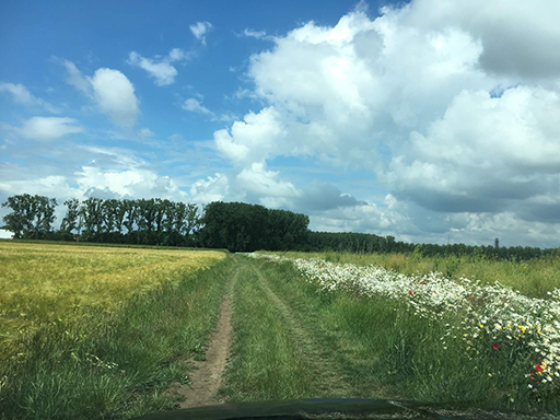 SUV-Touren - Lüneburger Heide SUV Schnuppertour Mecklenburg Vorpommerm